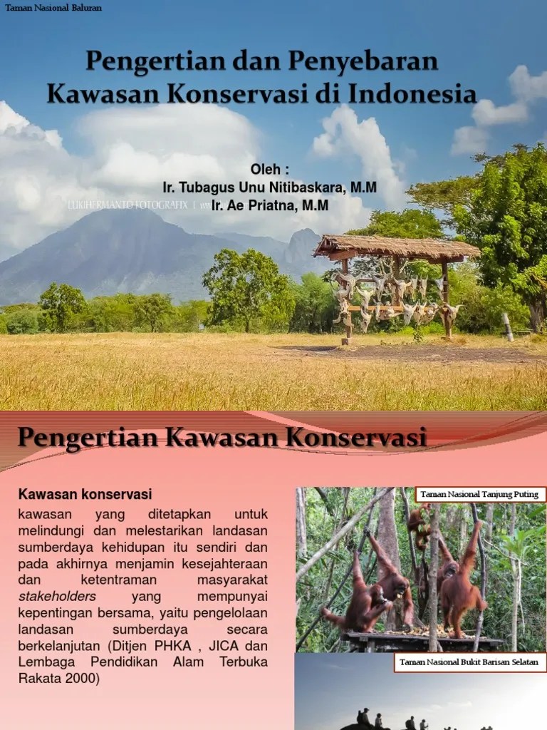Hutan adalah suatu kesatuan ekosistem berupa hamparan lahan yang berisi. Pengertian Dan Penyebaran Kawasan Konservasi Di Indonesia Pdf