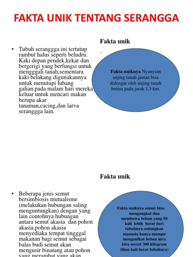 Fakta Unik Tentang Serangga | PDF