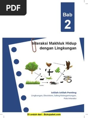Proses kehamilan merupakan mata rantai yang berkesinambungan. Bab 2 Interaksi Makhluk Hidup Dengan Lingkungan Pdf