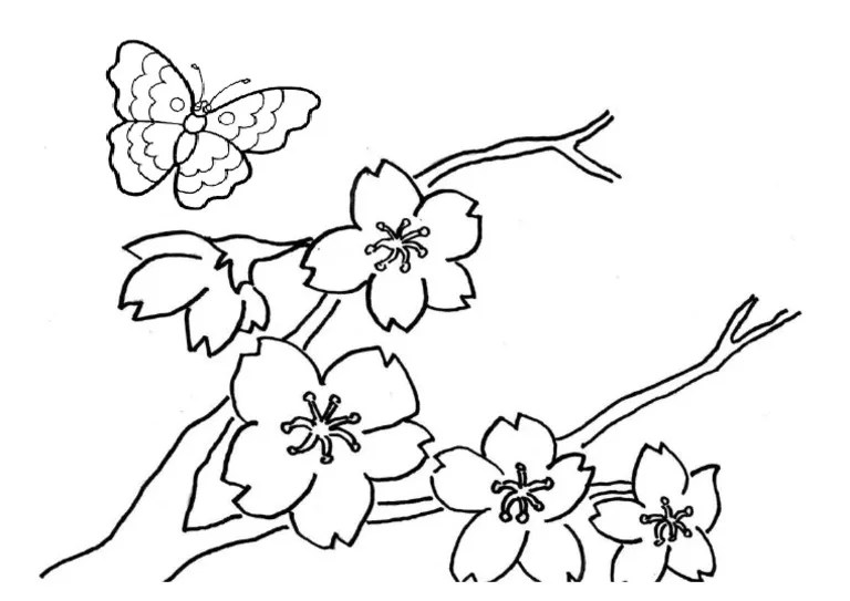 Cara mudah melukis bunga ros step by step. Batik Pdf