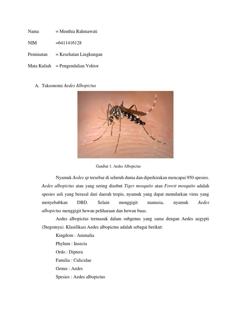 Nyamuk Aedes Albopictus | PDF
