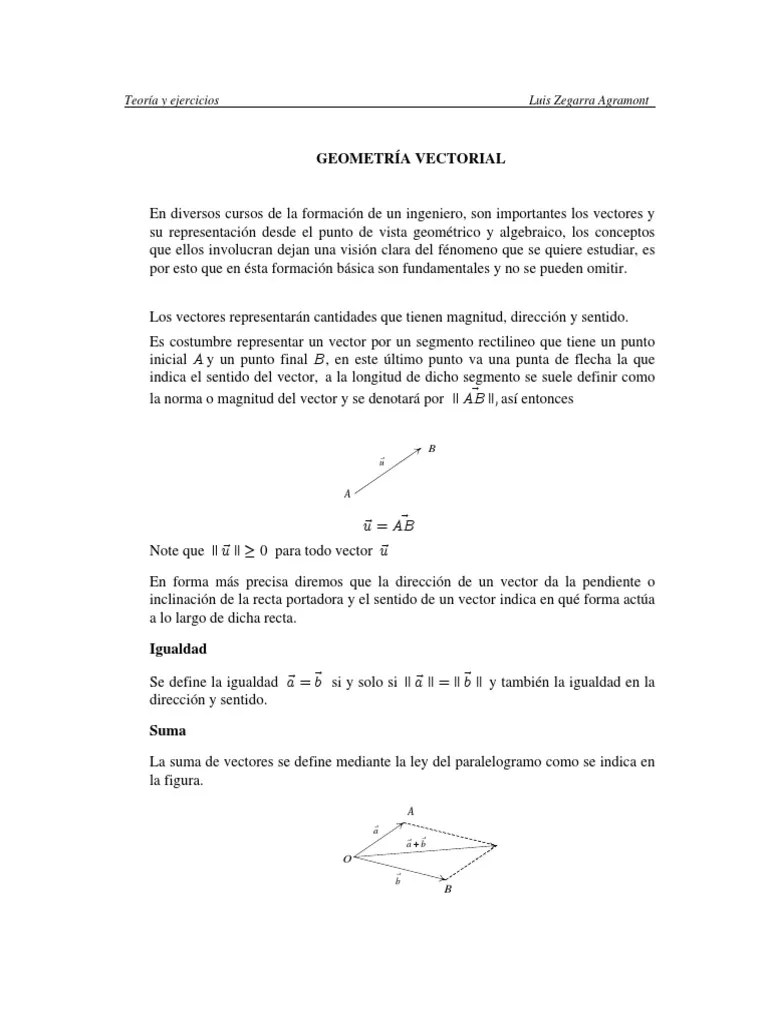 Geometría Vectorial PDF | PDF | Vector Euclidiano | Espacio Vectorial