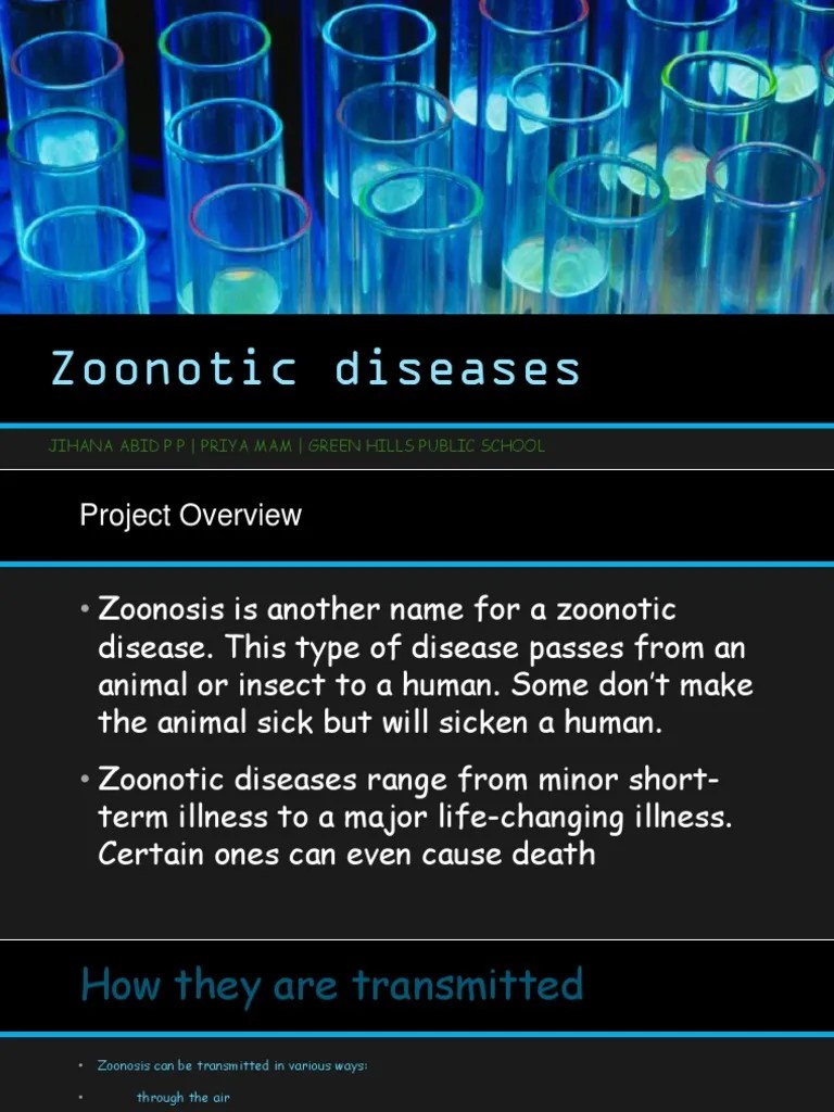 Biology Class 12 Project | PDF | Influenza | Ebola Virus Disease