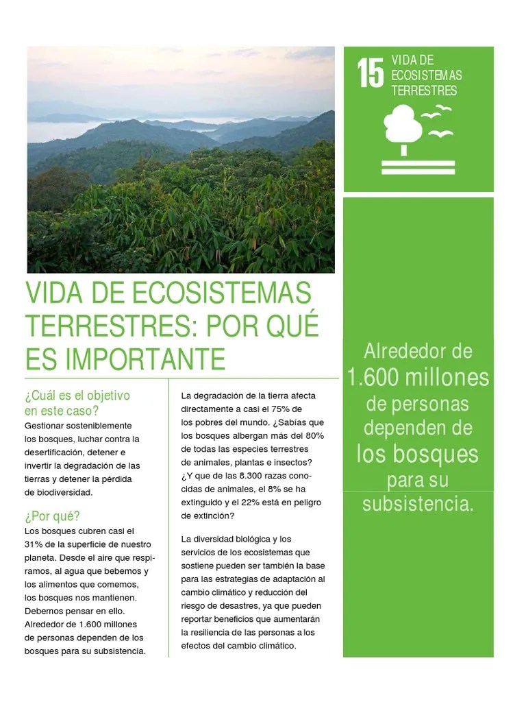 Esta es información que podemos entregar ejemplos de cadena alimenticia terrestre y acuatica. Objetivo 15 Vida De Ecosistemas Terrestres Pdf Biodiversidad Los Bosques
