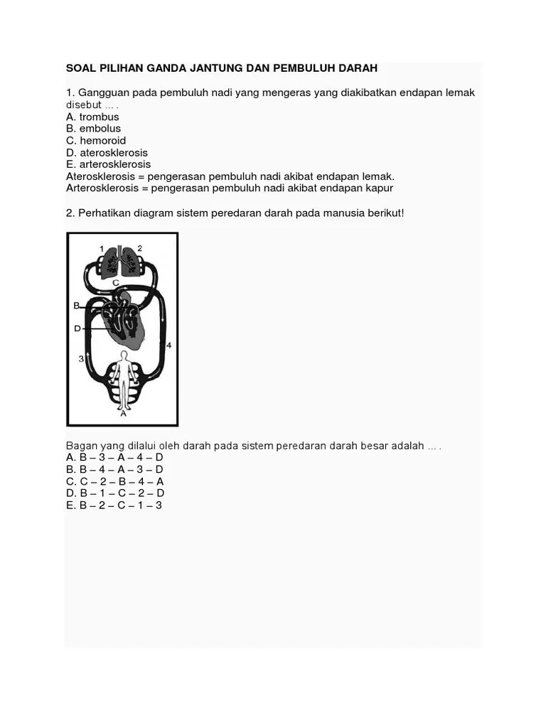 Kumpulan soal pilihan berganda tentang sistem peredaran darah ini meliputi beberapa subtopik dalam bab sistem . Soal Pilihan Ganda Jantung Dan Pembuluh Darah Pdf
