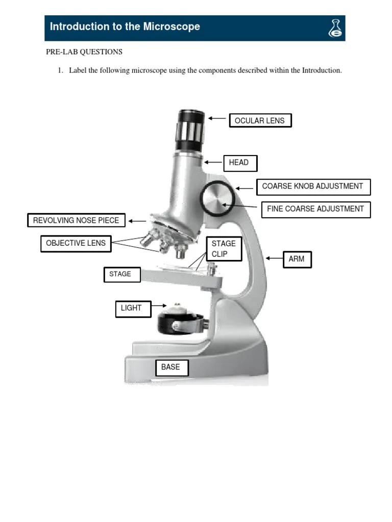 Introduction To Microscope Lab | PDF | Lens (Optics) | Microscope