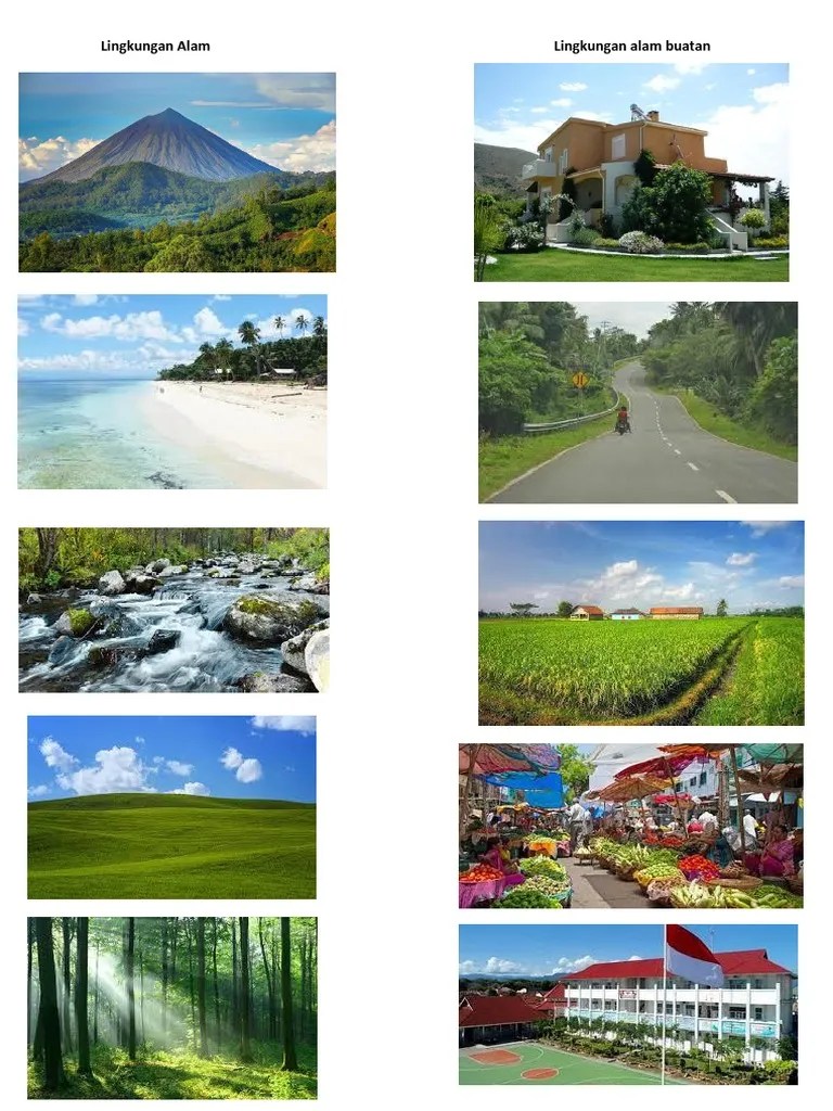 Lingkungan AlamLingkungan Alam Buatan