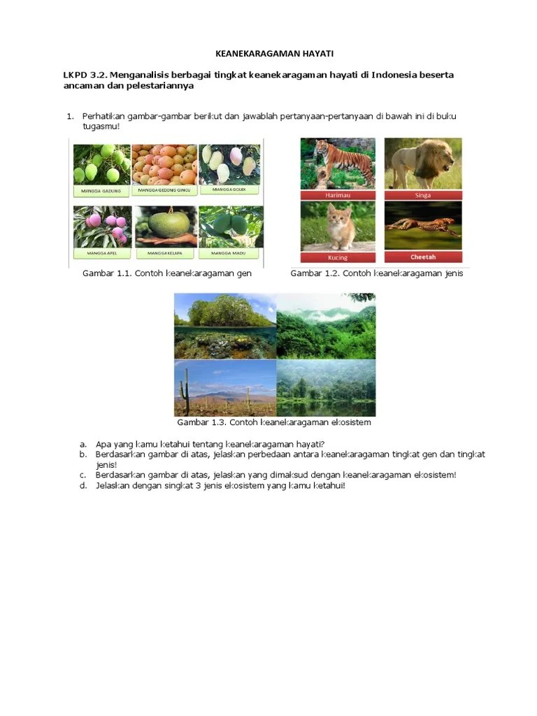 LKPD Kelas X Bab 2 | PDF