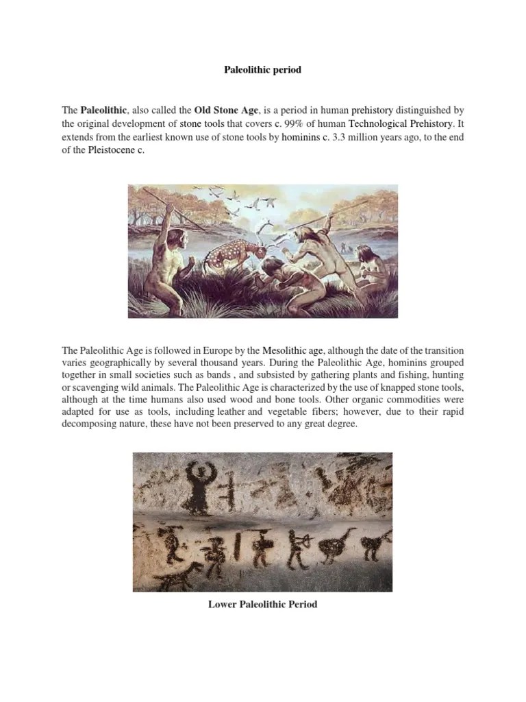 Paleolithic Period | PDF | Paleolithic | Stone Age