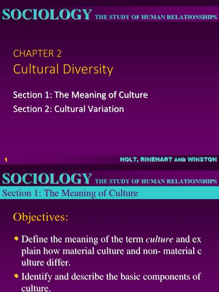 Exploring The Concepts Of Culture, Cultural Variation, Ethnocentrism ...