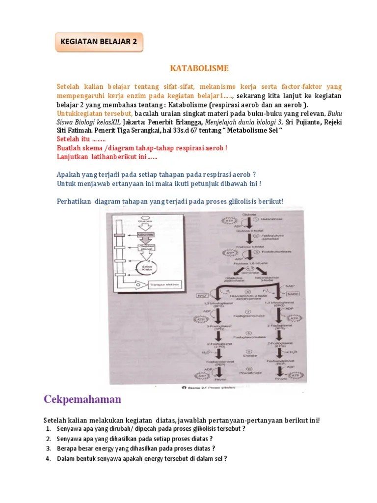 Ukbm 3.2.metabolisme Sel KB 2 Dan 3 PDF | PDF