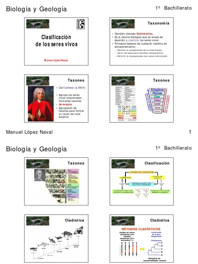 B108 Clasificacion De Los Seres Vivos AP | PDF | Hongo | Plantas