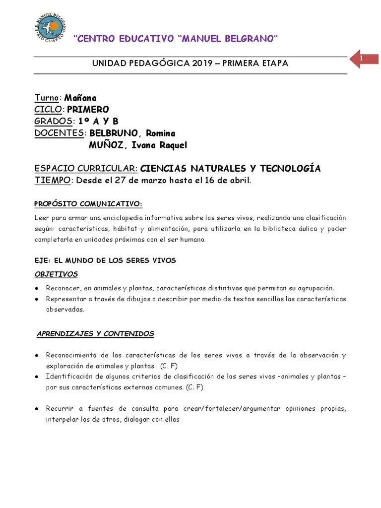 Secuencia N°1 CIENCIAS NATURALES Seres Vivos 2019 | PDF | Plantas ...