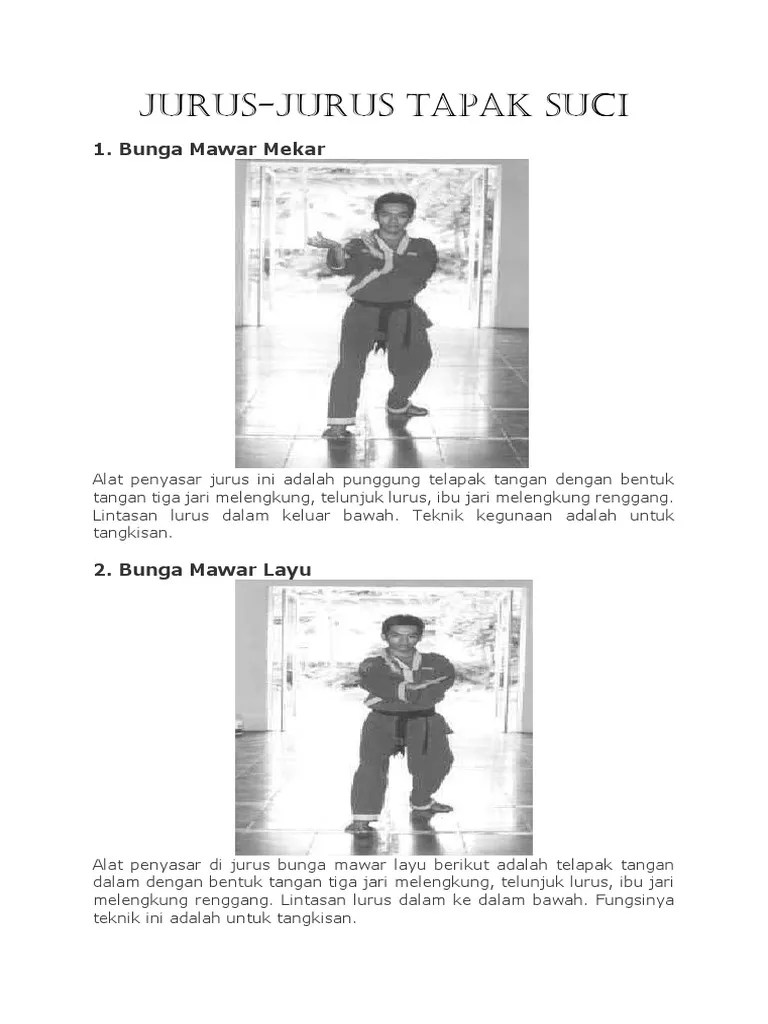 Jurusjurus Tapak Suci Rina | PDF