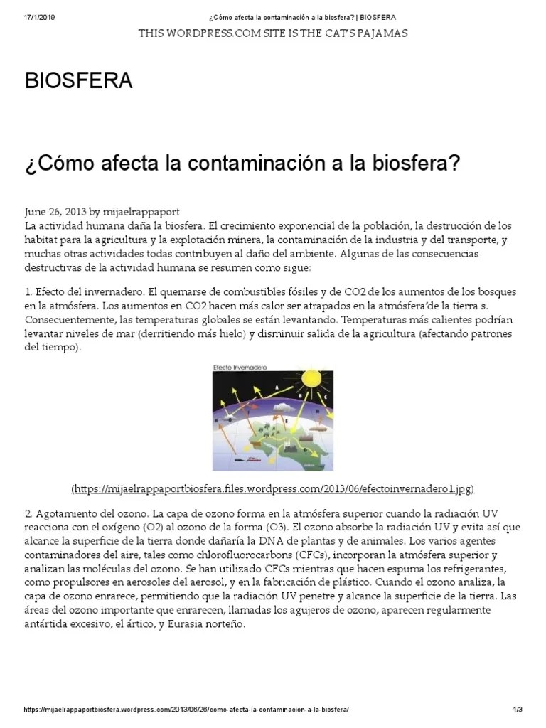 ¿Cómo Afecta La Contaminación A La Biosfera - BIOSFERA | PDF | Contaminación | Oxígeno