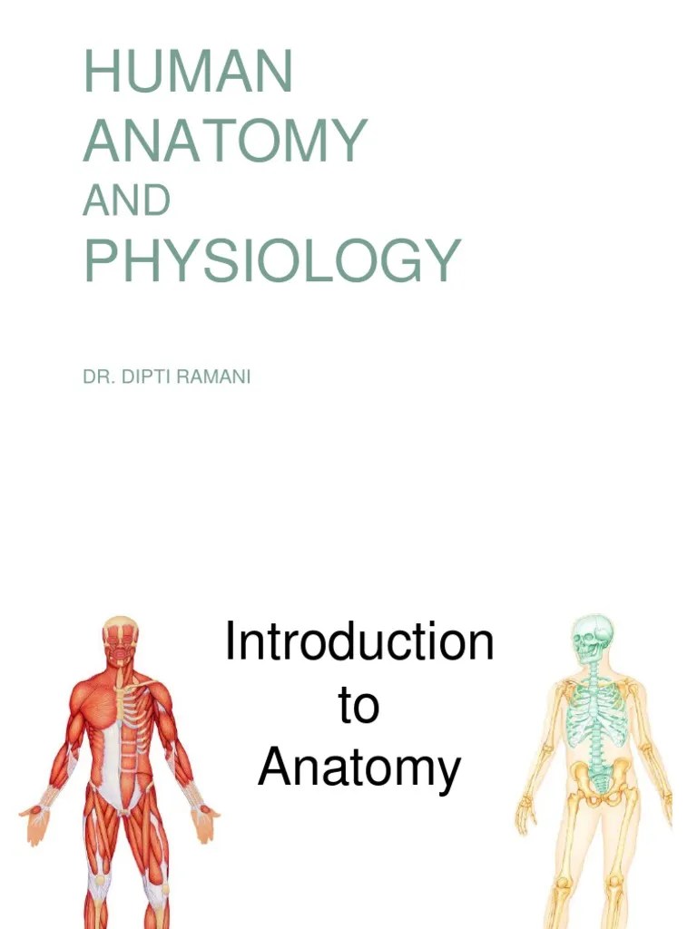 Introduction To Anatomy And Physiology | Download Free PDF | Anatomical ...