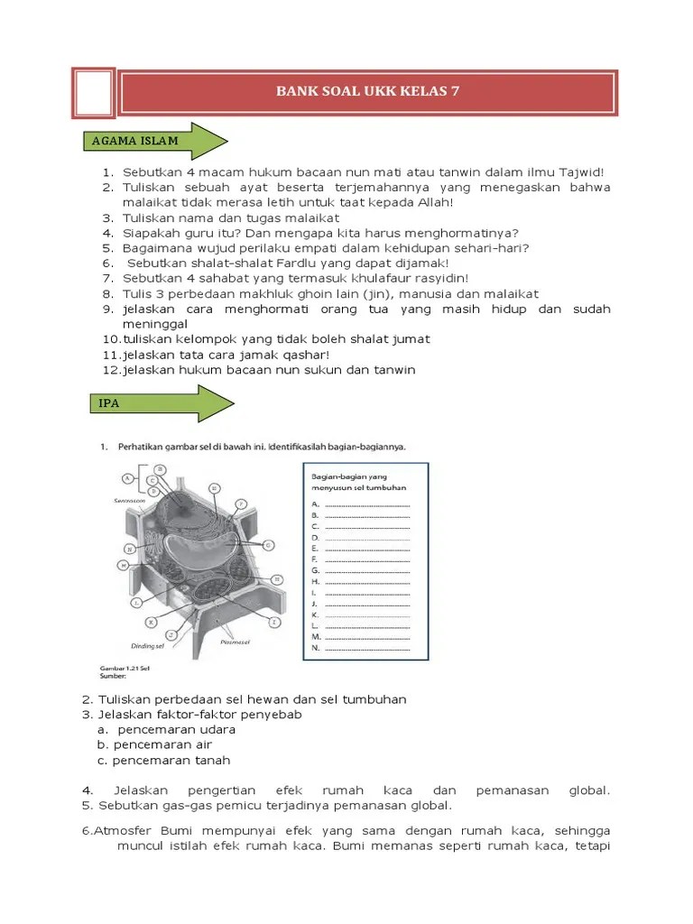 Mengutip sumber belajar kemdikbud ri, efek rumah kaca dan gas rumah kaca adalah penyebab terjadinya pemanasan global. Bank Soal Ukk Part 1 Pdf