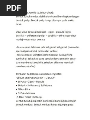 Urutan daur hidup aurelia sp. Daur Hidup Aurelia Sp