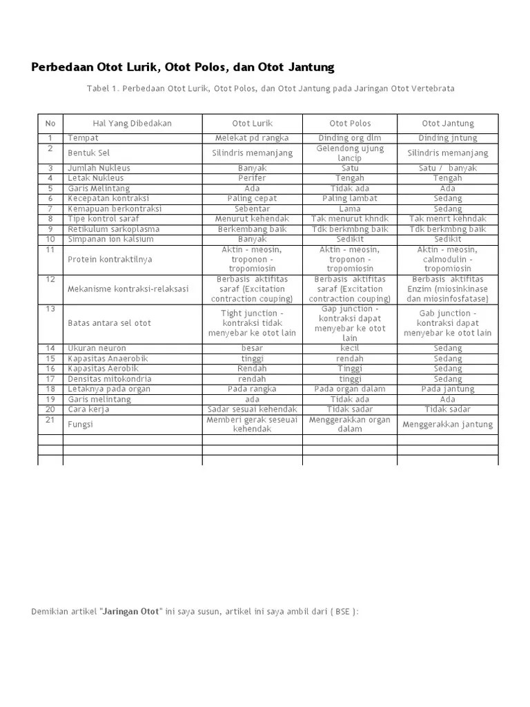 Perbedaan Otot Polos Lurik Dan Jantung – Sekali