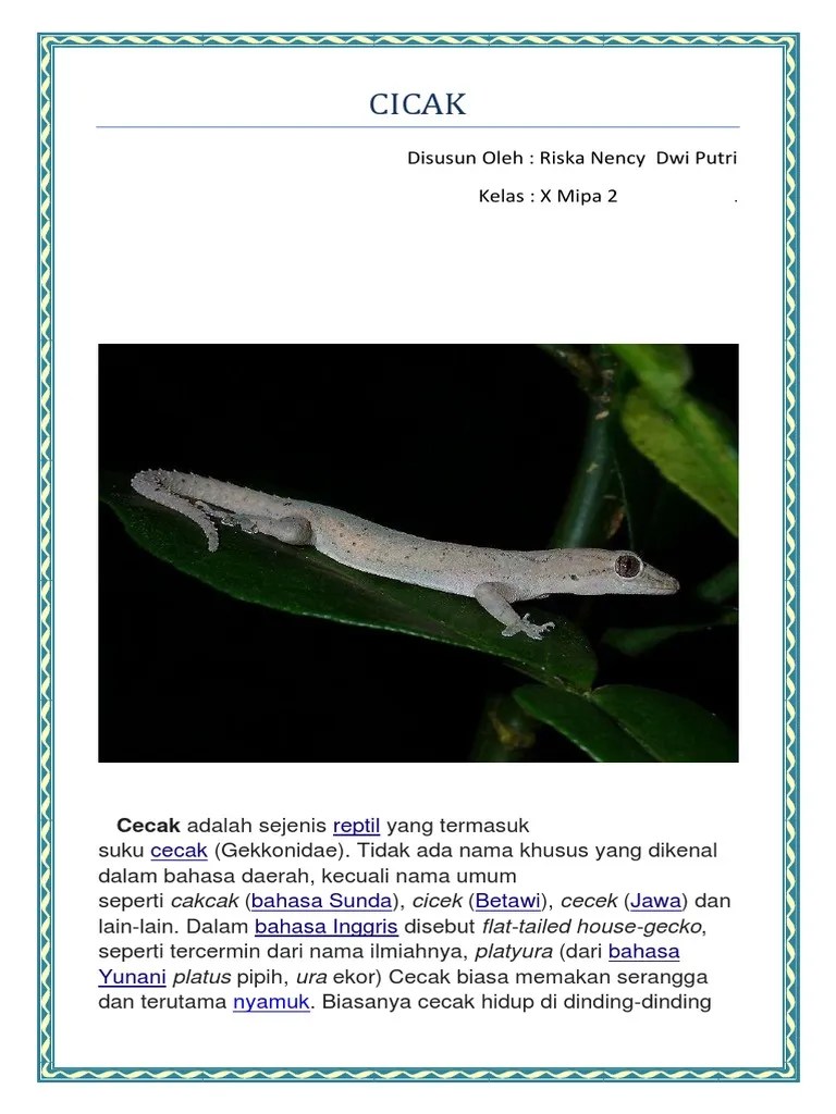 Teks Laporan Hasil Observasi Cicak | PDF