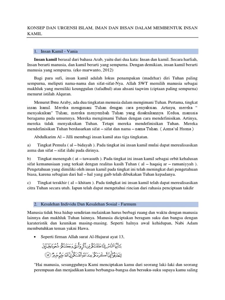 Insan Kamil | PDF