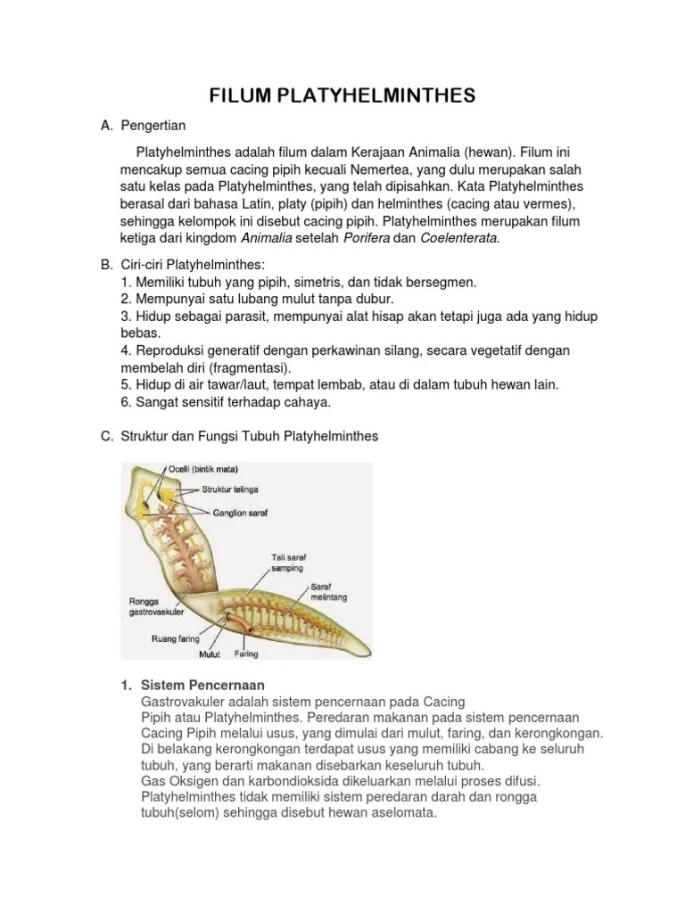 Filum Platyhelminthes | PDF