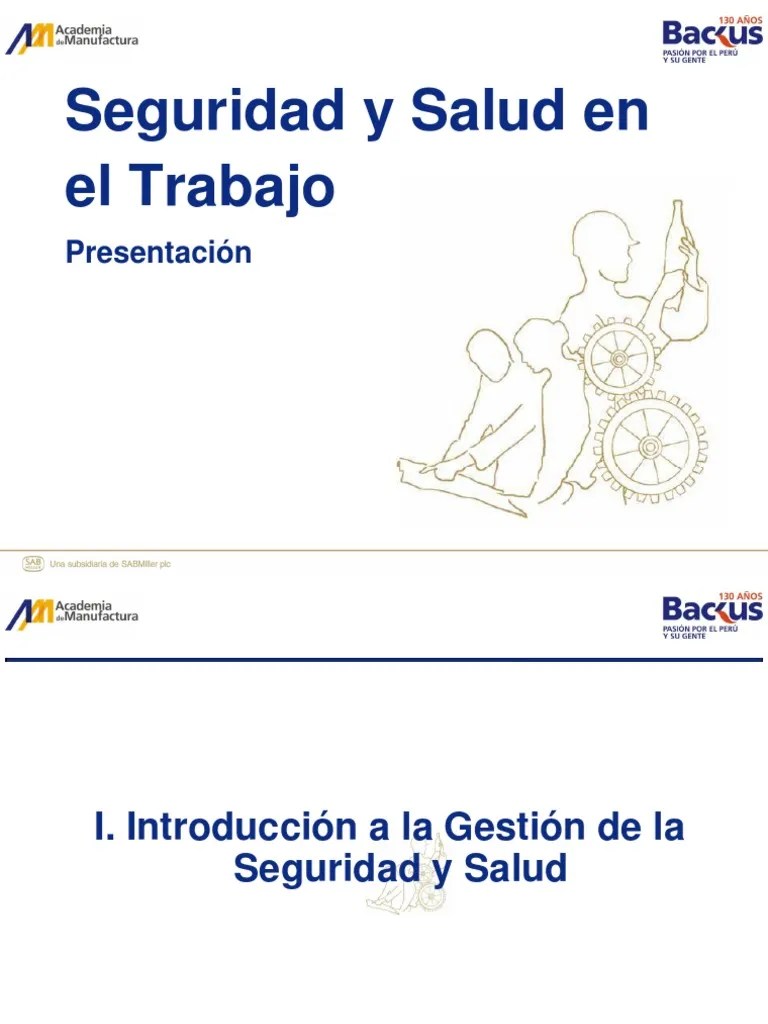 Seguridad Y Salud Ocupacional | PDF | Seguridad Y Salud Ocupacional | Naturaleza