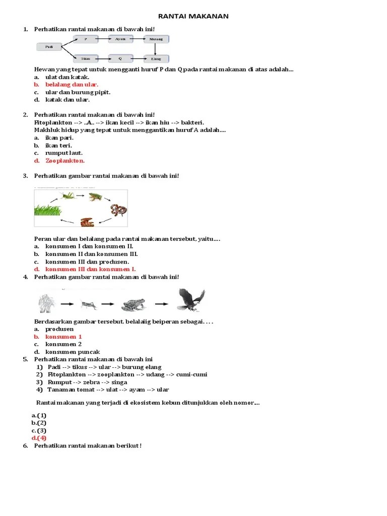 Latihan Soal Ipa | PDF