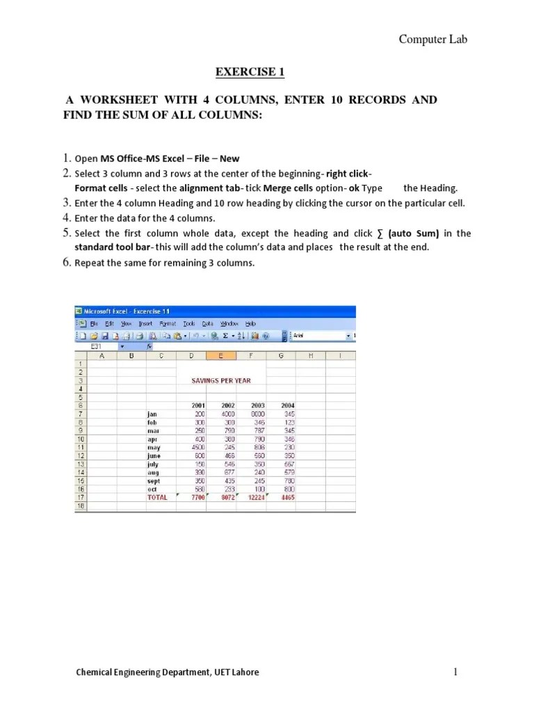MS Excel Lab | PDF | Computers
