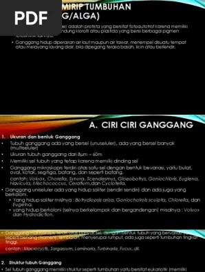 IV Protista Mirip Jamur INA | PDF