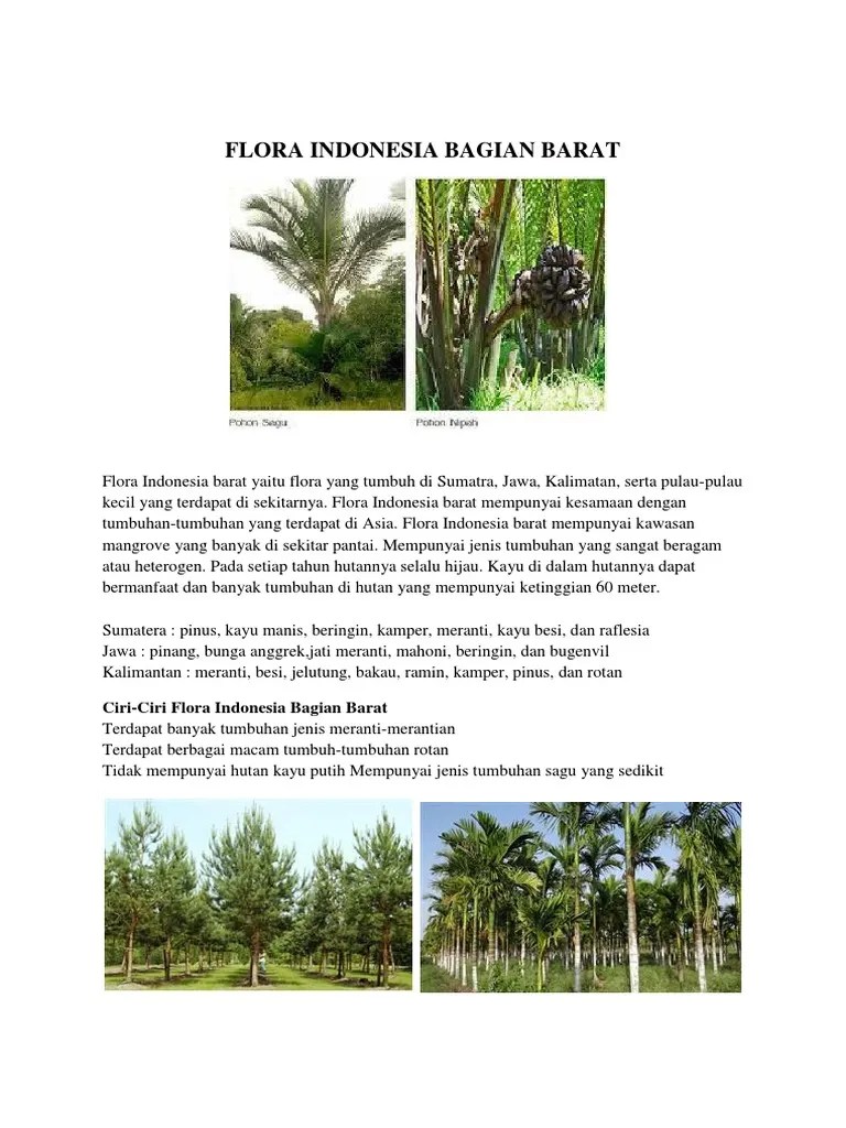 Flora Bagian Barat Indonesia | PDF