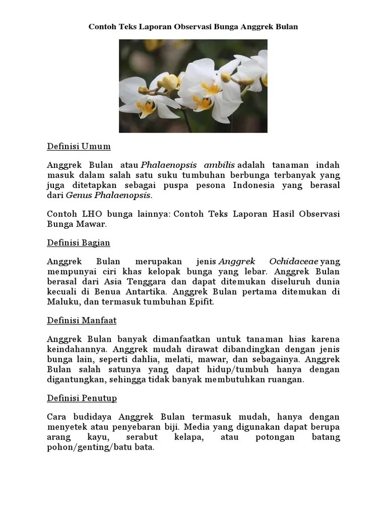 Contoh Laporan Pengamatan Bunga Anggrek