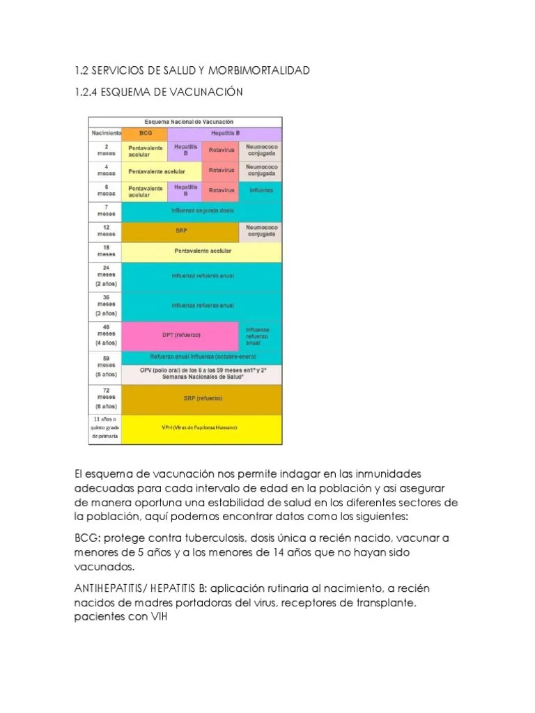 1.2.4 Esquema De Vacunación | PDF | Salud Pública | Especialidades Medicas
