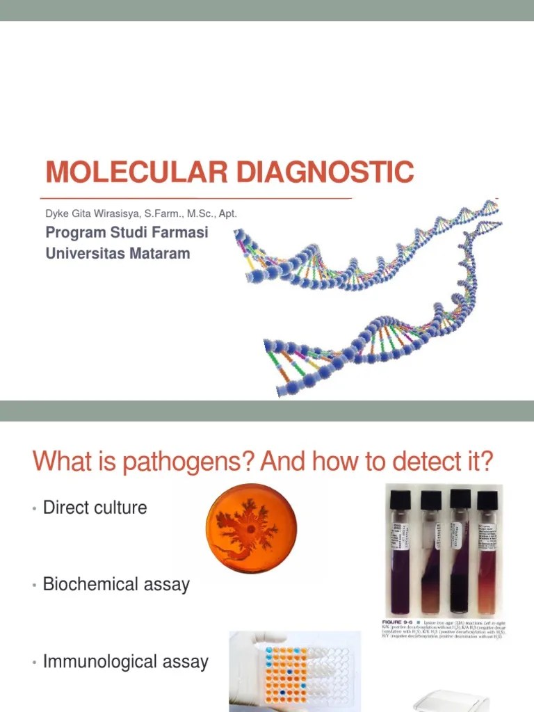 Molecular Diagnostic: Program Studi Farmasi Universitas Mataram | PDF ...