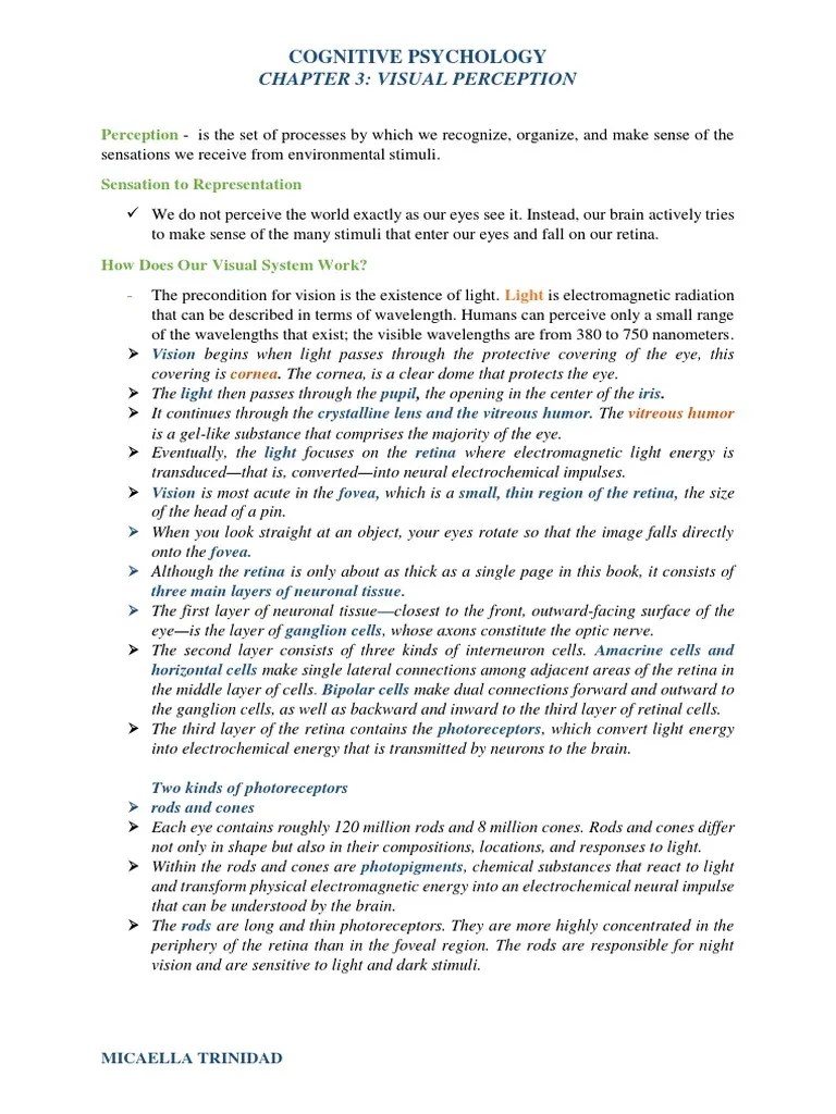 Visual Perception In Cognitive Psychology | PDF | Perception | Visual ...