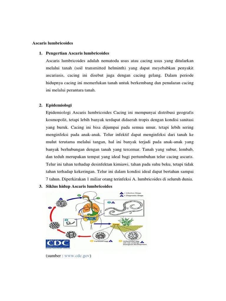 Ascaris Lumbricoides | PDF
