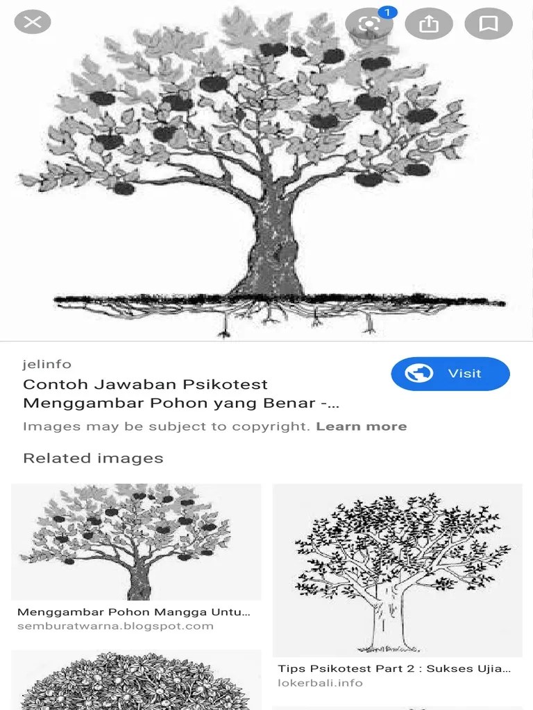 Psikotes baum test atau yang lebih dikenal dengan tree test adalah tes kepribadian. Pohon Psikotes Google Search Pdf