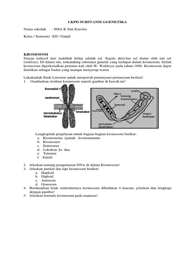 Lks Substansi Genetika | PDF