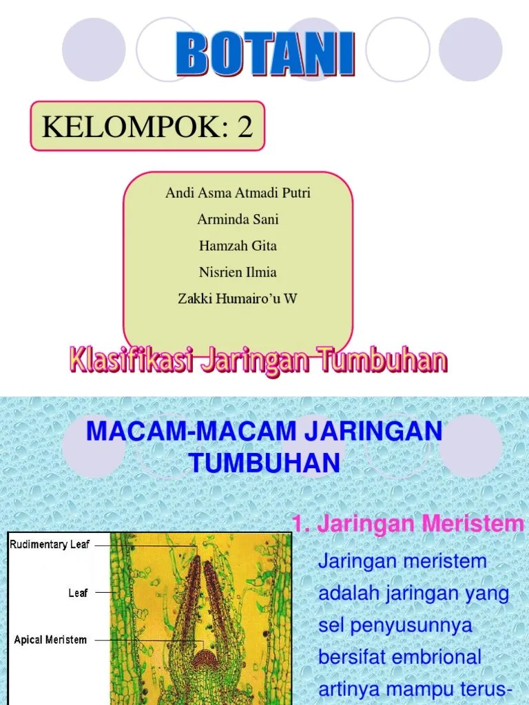 JARINGAN TUMBUHAN | PDF