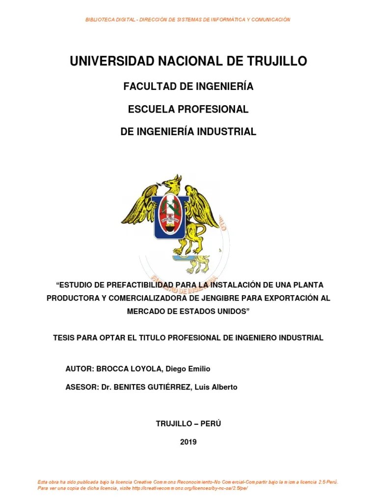 Tesis Ing - Industrial | PDF | Perú | Ingeniería