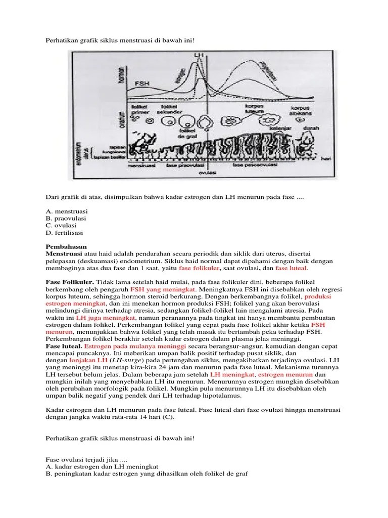 Soal PTS 9 2019 | PDF