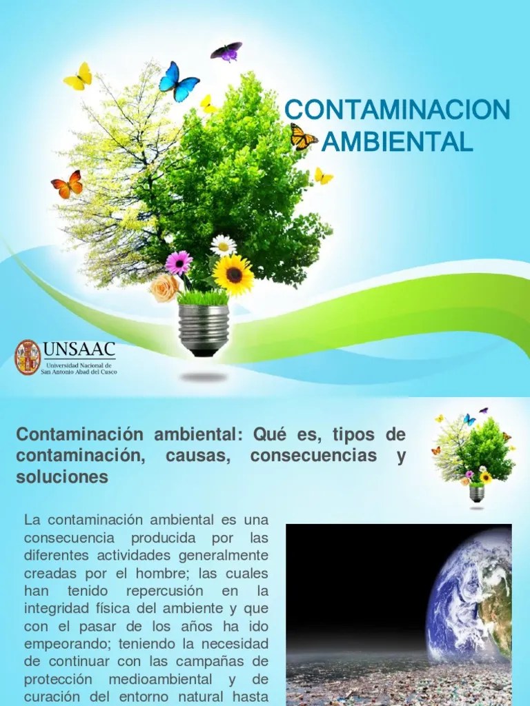 Contaminacion Ambiental 2 PDF | PDF | Contaminación | Entorno Natural