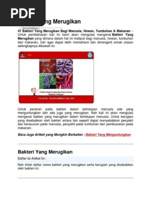 Bakteri Yang Merugikan | PDF