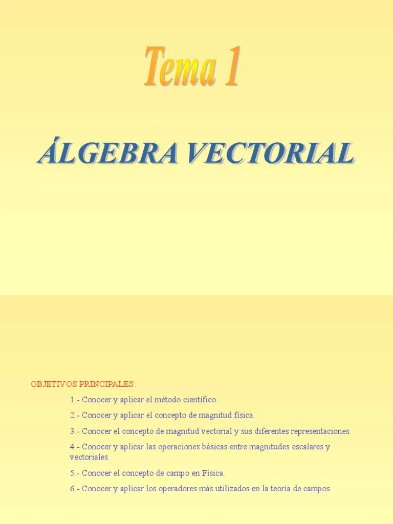 1 Algebra Vectorial (Tema) | PDF | Vector Euclidiano | Espacio Vectorial