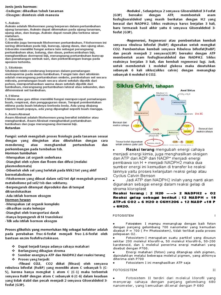 Pada Siklus Calvin Senyawa Yang Berperan Mengikat Karbondioksida Adalah