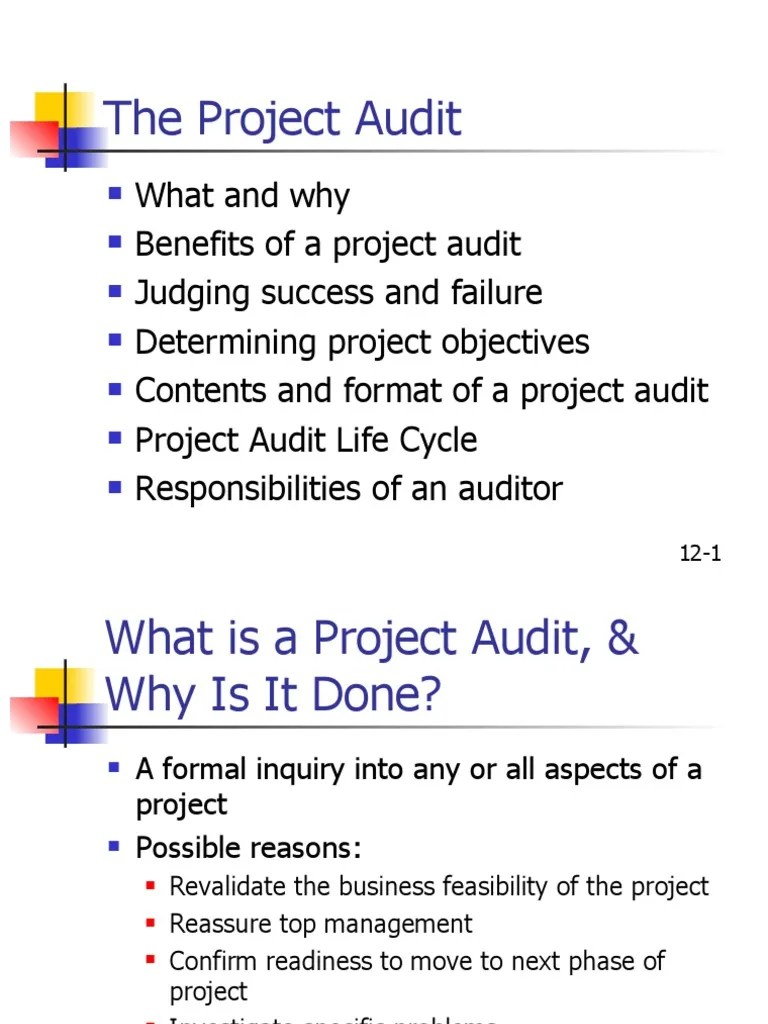 22 Project Audit | PDF | Audit | Life Cycle Assessment