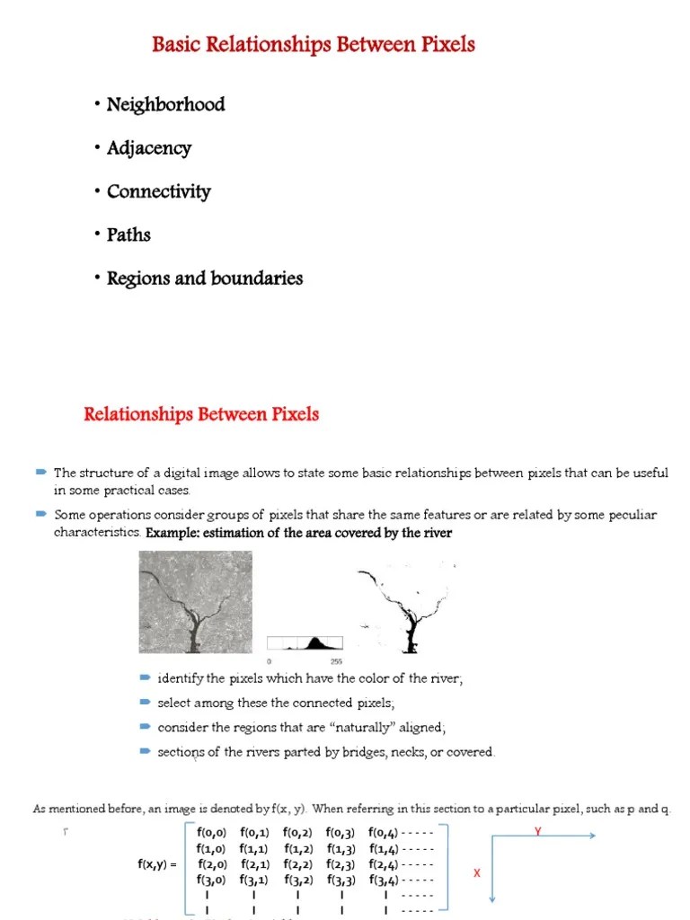 Basic Relationships Between Pixels | PDF | Imaging | Image Processing