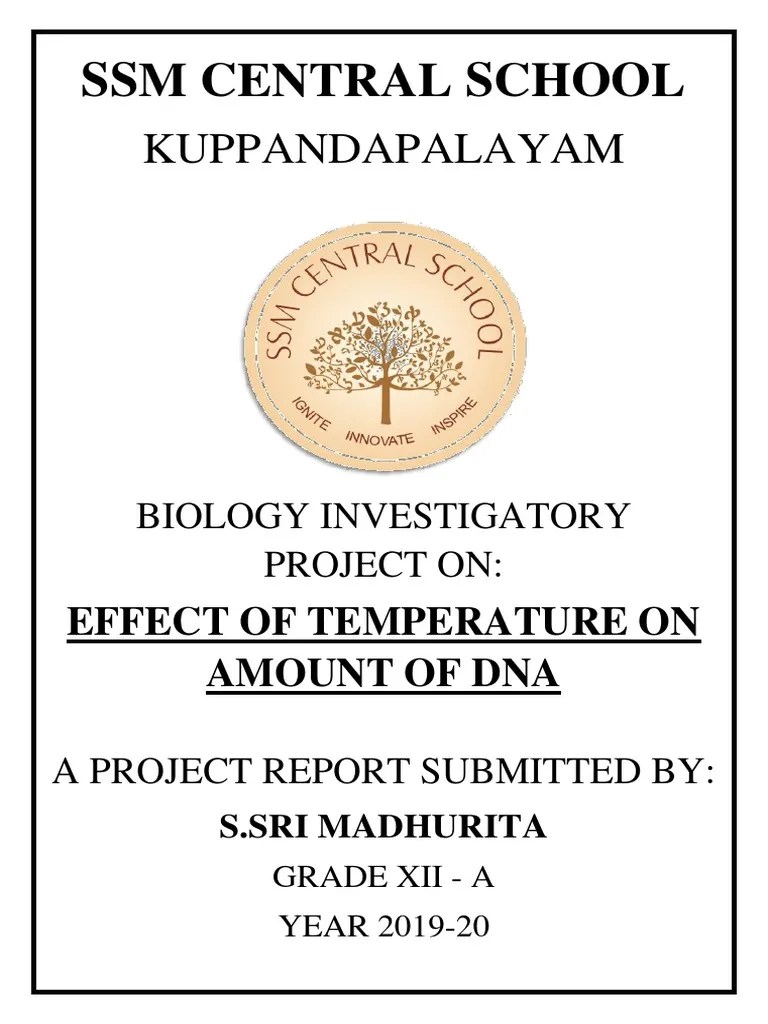 Biology Project Class 12 | PDF | Rna | Nucleotides