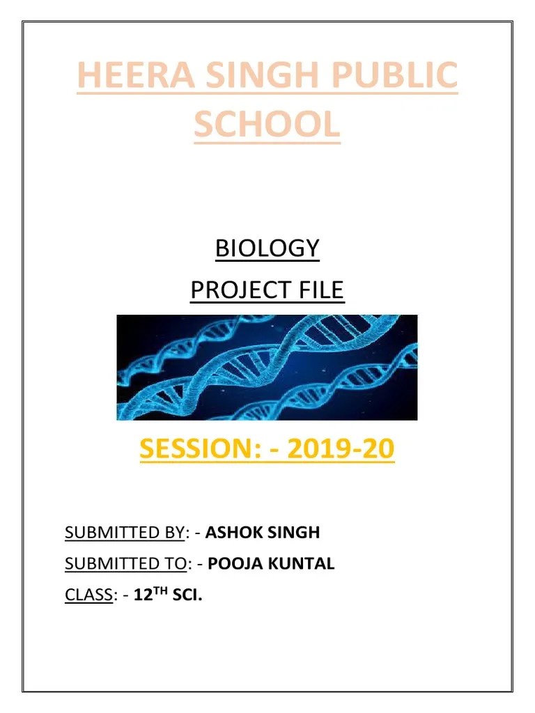 Pollination Class 12 Biology Project | PDF | Pollination | Pollinators