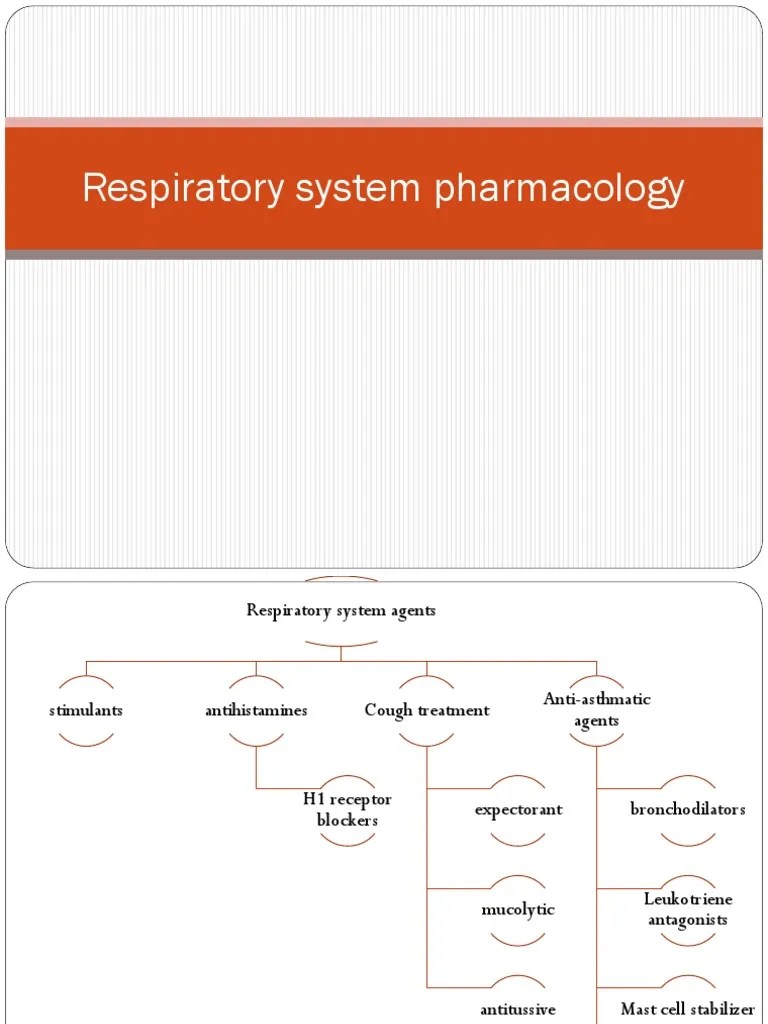 Respiratory System Pharmacology Notes | PDF | Asthma | Drugs